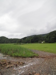 SX23760 Campsite between Caerdeon and Bontddu.jpg